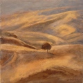 Soir à Chypre - paysages / landscapes