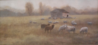 Les moutons - paysages / landscapes